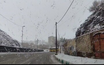 بارش برف سقز را سفیدپوش کرد