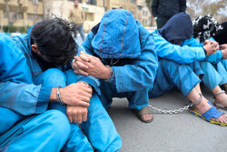 دستگیری اعضای باند خانوادگی با اعتراف به ۱۵۰ فقره سرقت