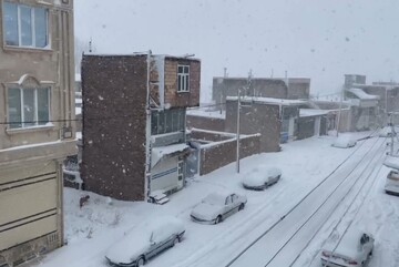 بارش برف بستان‌آباد را سفیدپوش کرد