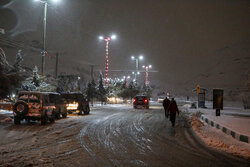 بارش سنگین برف در شهرستان پاوه