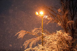 شب برفی طرقبه