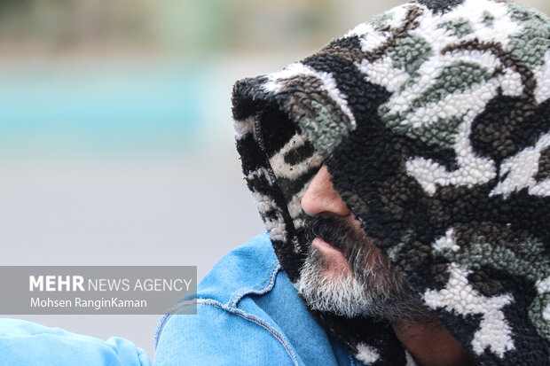 طرح دستگیری سارقان و مال‌خران