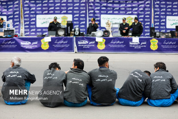 طرح دستگیری سارقان و مال‌خران