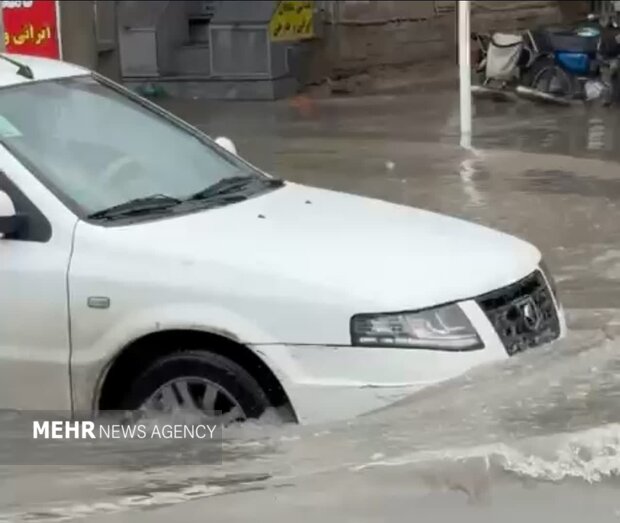 باران، ترافیک و تعطیلی؛ زنجیره تکراری بحران در استان بوشهر