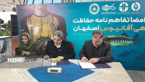 5845329.jpg?ts=1766925728451