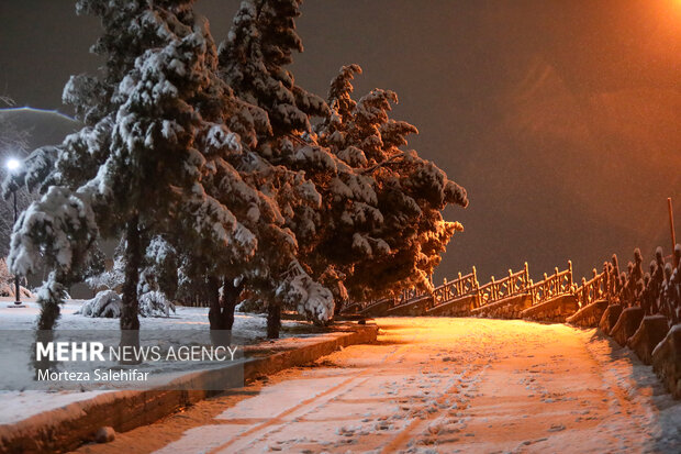 بارش برف در شهرکرد
