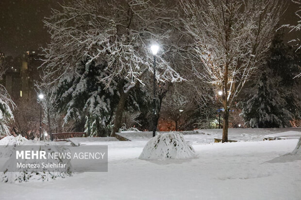 بارش برف در شهرکرد