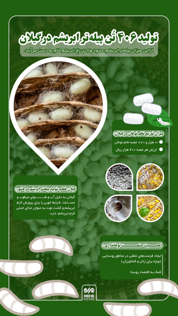 اینفوگرافیک؛ تولید ۴۰۶ تُن پیله تر ابریشم در گیلان