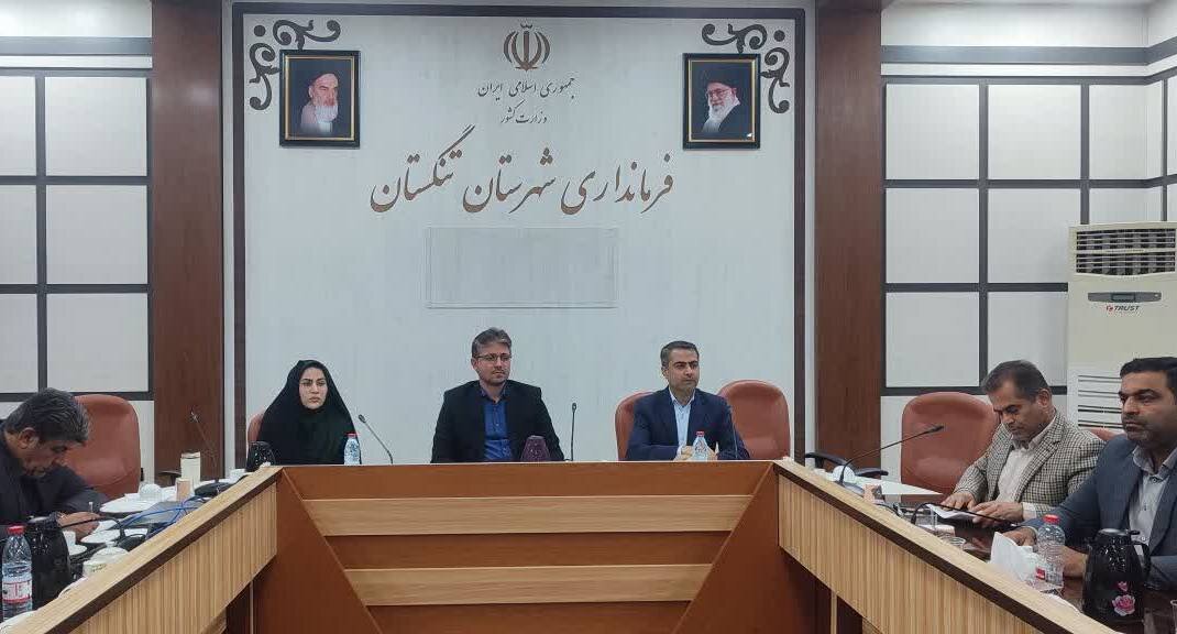 معاون فرماندار تنگستان: کمیته‌های ویژه پروژه‌های تأخیردار تشکیل می‌شود