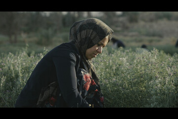 مستندی که به دل قاچاقچیان مواد مخدر زد؛ تلاش یک زن برای نجات همسرش