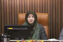 انصاری: ورامین با محدودیت منابع آب و خطر فرونشست روبه‌رو است