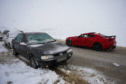 بارش سنگین برف در جاده‌های کوهستانی سمنان؛ محور دامغان-گلوگاه مسدود شد
