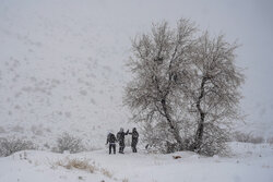 مسدود شدن راه ارتباطی سروآباد-اورامان-پاوه به دلیل بارش برف
