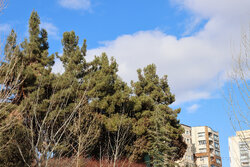 هوای اصفهان ناسالم شد