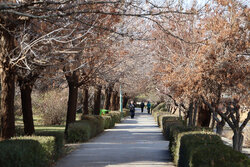 شاخص کیفی هوای اصفهان سبز شد