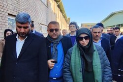 شینا انصاری: تجهیز صنایع چرمشهر به پیش‌تصفیه در اولویت محیط زیست