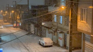 بارش برف سنندج را سفیدپوش کرد