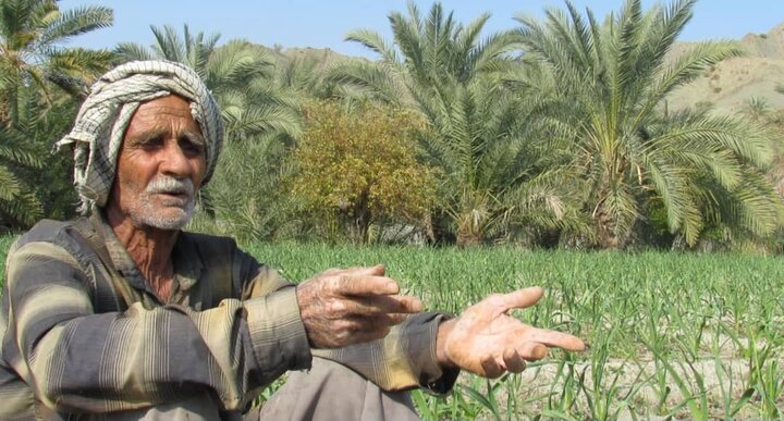 اهمیت سازه‌های آبخیزداری در بشاگرد؛ از کنترل سیلاب تا رونق کشاورزی