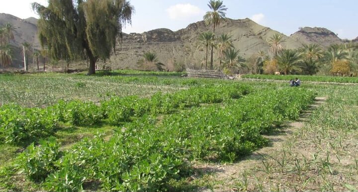 اهمیت سازه‌های آبخیزداری در بشاگرد؛ از کنترل سیلاب تا رونق کشاورزی