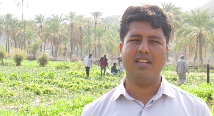 اهمیت سازه‌های آبخیزداری در بشاگرد؛ از کنترل سیلاب تا رونق کشاورزی