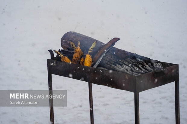 برف بازی در کولاک سپیدان