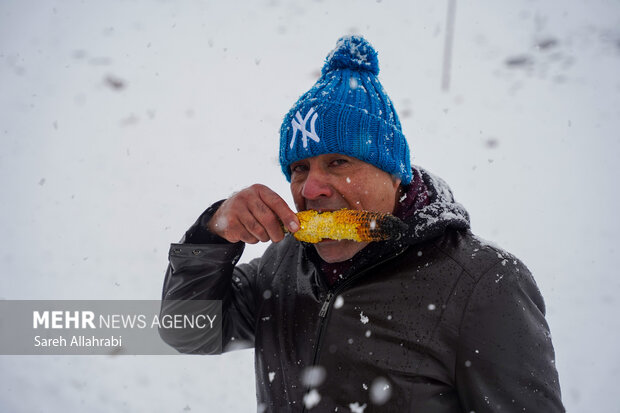 برف بازی در کولاک سپیدان