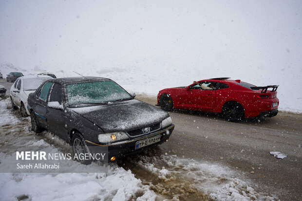 برف بازی در کولاک سپیدان