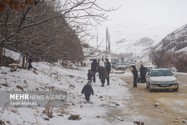 برف بازی در کولاک سپیدان