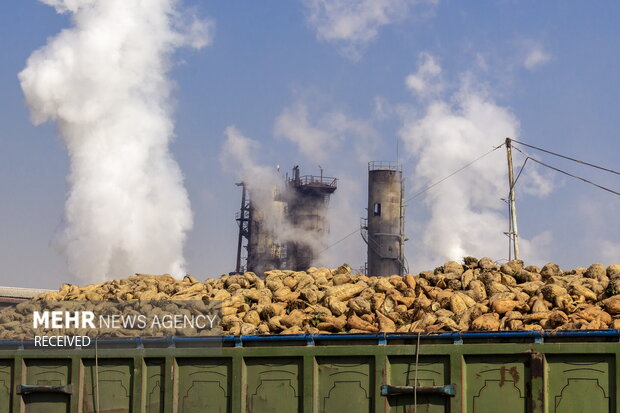 خوداتکایی در تولید شکر