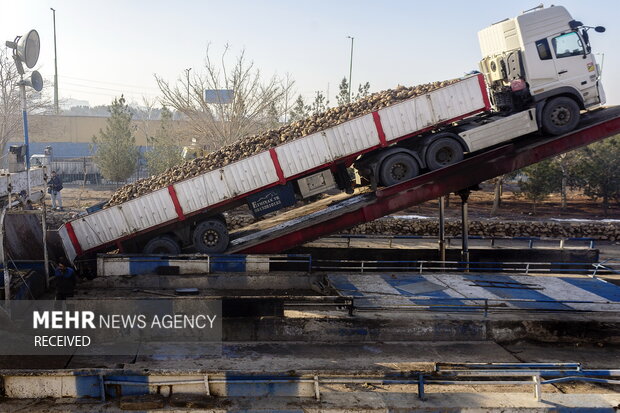 خوداتکایی در تولید شکر