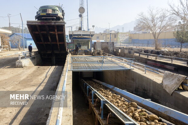 خوداتکایی در تولید شکر