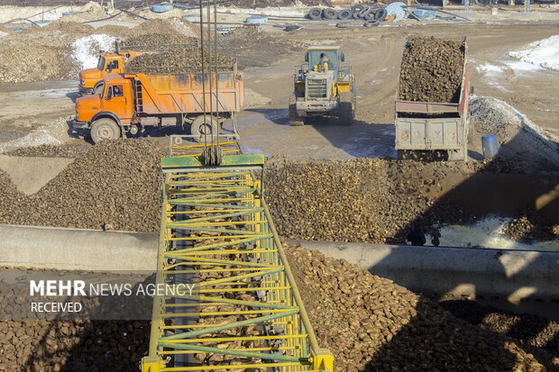 خوداتکایی در تولید شکر