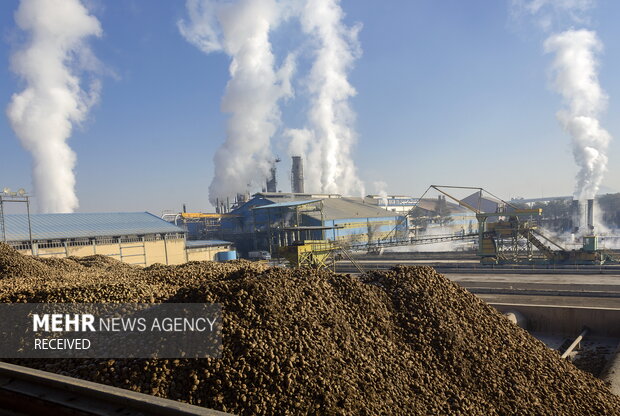 خوداتکایی در تولید شکر