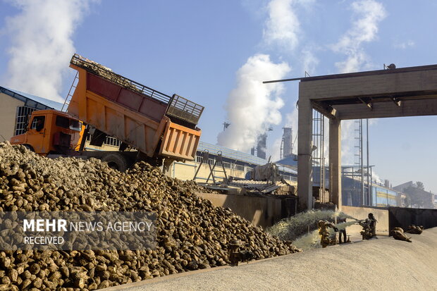 خوداتکایی در تولید شکر