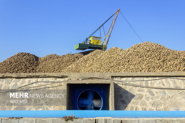 خوداتکایی در تولید شکر