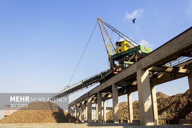 خوداتکایی در تولید شکر