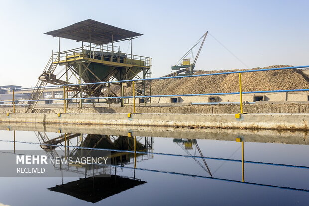 خوداتکایی در تولید شکر