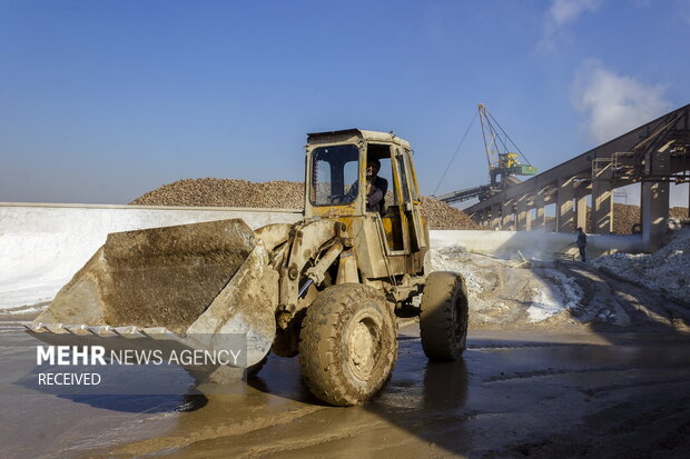 خوداتکایی در تولید شکر