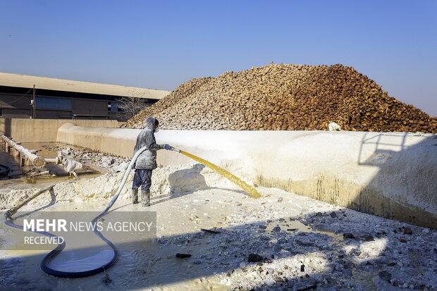 خوداتکایی در تولید شکر
