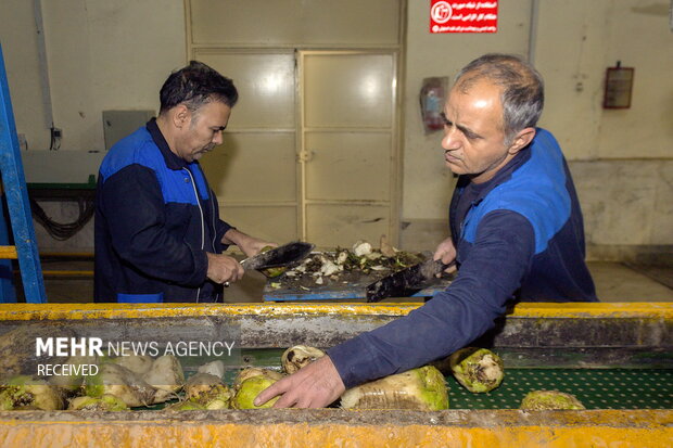 خوداتکایی در تولید شکر