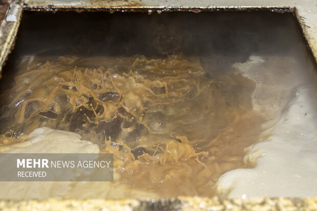 خوداتکایی در تولید شکر