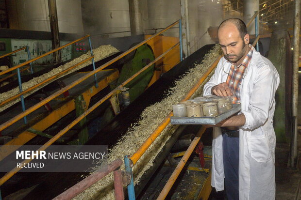 خوداتکایی در تولید شکر