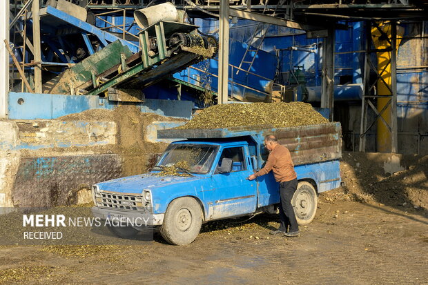 خوداتکایی در تولید شکر