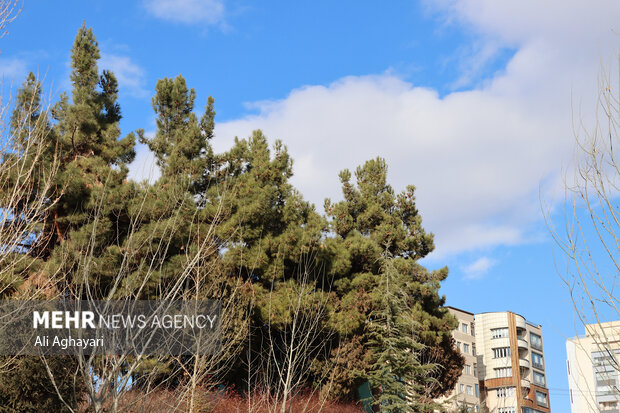 وضعیت هوای ارومیه سالم و پاک شد