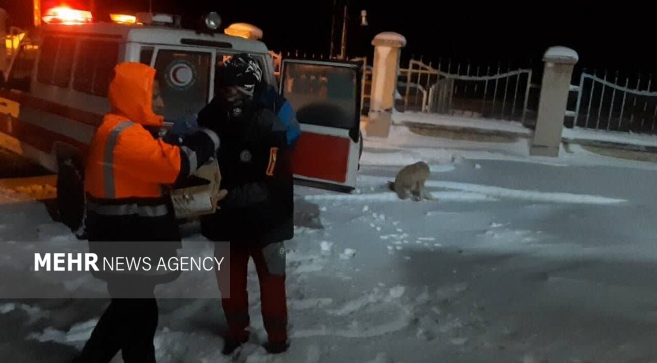 قلیزاده: ۲۷ مسافر در محور اسالم- خلخال اسکان اضطراری شدند قلیزاده: ۲۷ مسافر در محور اسالم- خلخال اسکان اضطراری شدند