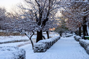 هشدار نارنجی در استان سمنان؛ هم‌نشینی برف، کولاک و یخ‌بندان