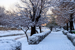 هشدار نارنجی در استان سمنان؛ هم‌نشینی برف، کولاک و یخ‌بندان