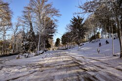 سرما و ضرورت رعایت الگوی مصرف در استان سمنان؛ کالپوش ۱۳ درجه زیر صفر!