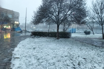 بارش برف زمستانی در چناران