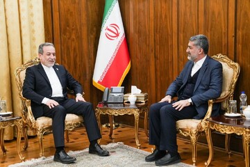 دیدار سرکنسول ایران در نجف با وزیر امور خارجه